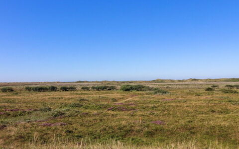 Alim - 300M from the Sea: Biens, Ferme