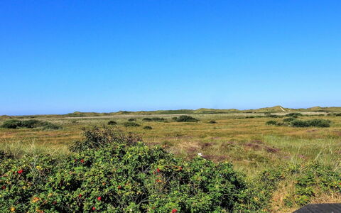 Alim - 300M from the Sea: Chalet, Cabanon, Cabane, Ferme, Prairie, Cabane, Grange, Cabane En Rondins, Batiments Jardin