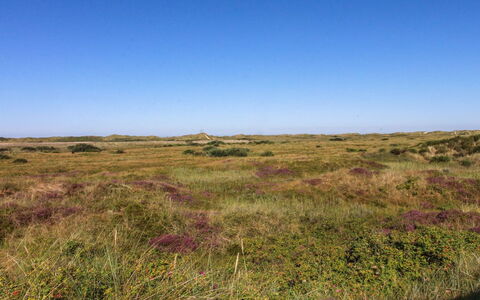 Alim - 300M from the Sea: Chalet, Cabanon, Cabane, Ferme, Prairie, Cabane, Grange, Cabane En Rondins, Batiments Jardin