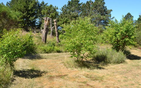 Eberg - 2.8Km from the Sea: Biens, Ferme