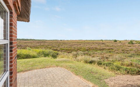 Dietmar - 2.8Km from the Sea: Écorégion, Plaine, Steppe, Prairie, Formations Arbustives, Ranch, Chaparral
