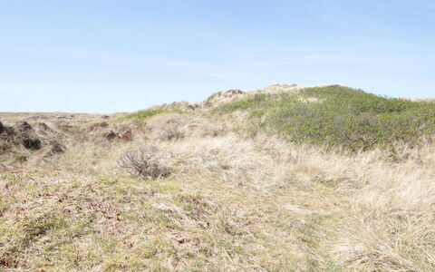 Aise - 75M from the Sea: Toit, Lot Terre, Chalet, Domicile, Zone Rurale, Cabanon, Siding, Batiments Jardin, Cabane En Rondins, Cabane