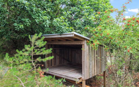 Svenja - 600M from the Sea: Bois, Communauté Des Plantes, Écorégion, Cabanon, Forêt, Réserve Naturelle, Tronc, Jungle, Batiments Jardin, Cabane