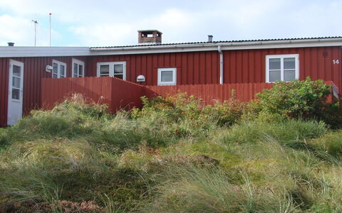 Aukusti - 600M from the Sea: Herbe, Arbuste, Lot Terre, Communauté Des Plantes, Plaine, Couverture De Sol, Sol, Arrière-Cour, Cour, Siding