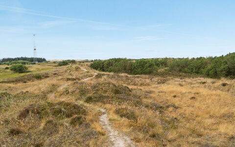 Reiko - 1.5Km from the Sea: Ciel, Herbe, Environnement Naturel, Prairie, Végétation, Écorégion, Horizon, Communauté Des Plantes, Région Sauvage, Lot Terre