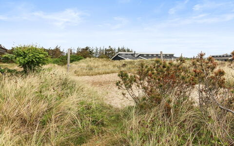 Svenne - 500M from the Sea: Bâtiment, Maison, Bois, Domicile, Toit, Chalet, Zone Résidentielle, Arbuste, Architecture