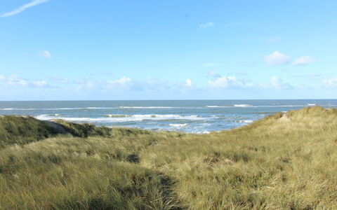 Laetitita - from the Sea: Ciel, Bleu, Horizon, Écorégion, Nuage, Côte, Mer, Cotiers Et Relief Océaniques, Prairie, Océan