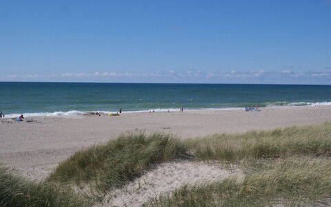 Iines - 200M from the Sea: Bleu, Plage, Plan D'Eau, Côte, Environnement Naturel, Horizon, Cotiers Et Relief Océaniques, Mer, Rive