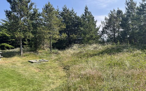Felicia - 800M from the Sea: Herbe, Arbre, Environnement Naturel, Végétation, Prairie, Arbuste, Communauté Des Plantes, Lot Terre, Plaine, Pâturage
