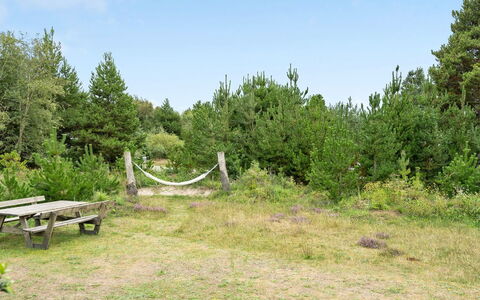 Elayne - 3Km from the Sea: Communauté Des Plantes, Lumière Du Soleil, Plante Herbacée, Jardin, Plantation, Agriculture, Ferme