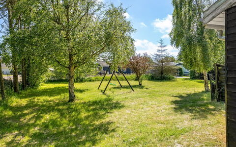 Gerwin - 3Km from the Sea: Communauté Des Plantes, Lumière Du Soleil, Plante Herbacée, Jardin, Plantation, Agriculture, Ferme