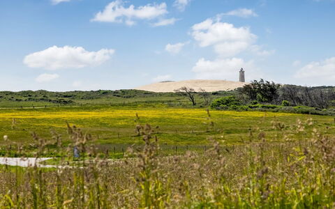 Ger - 200M from the Sea: Ciel, Herbe, Vert, Environnement Naturel, Prairie, Végétation, Écorégion, Nuage, Paysage Naturel