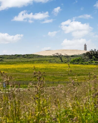 Ger - 200M from the Sea