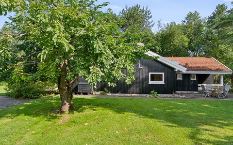 Batsha - 350M from the Sea: Branche, Arbuste, Ombre, Pelouse, Jardin, Chalet, Arrière-Cour, Cour, Batiments Jardin, Aménagement Paysager