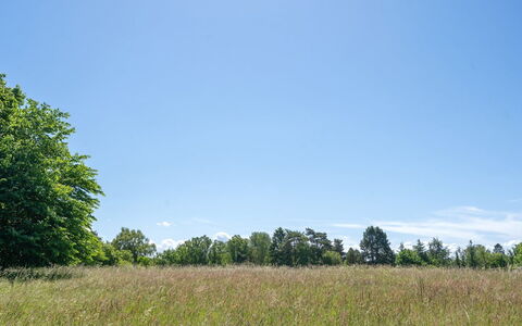 Naira - 1.8Km from the Sea: Bois, Toit, Architecture, Domicile, Maison, Chalet, Siding, Dur, Pente, Biens