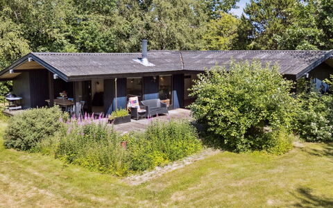 Lasse - 1.5Km from the Sea: Bois, Maison, Chalet, Domicile, Toit, Zone Rurale, Siding, Cabane En Rondins, Batiments Jardin, Dur