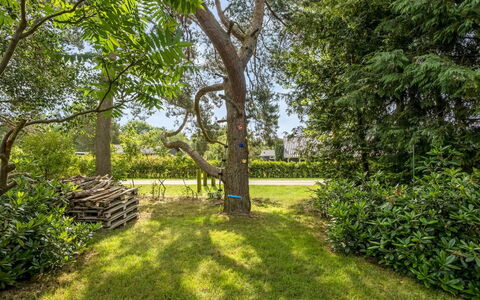Fatlinda - 1Km from the Sea: Feuille, Vert, Arbre, Herbe, La Nature, Branche, Végétation, Arbuste, Jardin, Communauté Des Plantes
