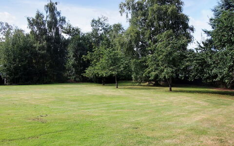 Erra - 250M from the Sea: Arbre, Herbe, Prairie, Arbuste, Plaine, Lot Terre, Pelouse, Tronc, Jardin