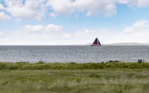 Alexis - 250M from the Sea: Ciel, Bateau, Voile, Horizon, Écorégion, Navire, Mât, Mer, Voile