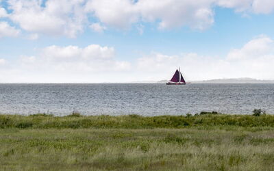 Alexis - 250M from the Sea