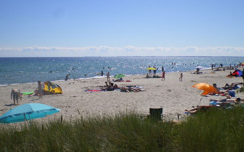 Hvenild - 800M from the Sea: Toit, Domicile, Chalet, Siding, Ombre, Ferme, Biens, Allée, Batiments Jardin, Cour