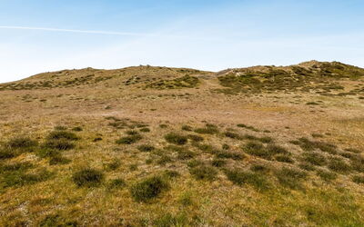 Larsen - 900M from the Sea
