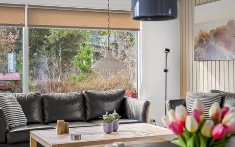 Halfdan - 1.1Km from the Sea: Meubles, Design Intérieur, Sol, Canapé, Mur, Sol, Bois, Table, Salon, Domicile