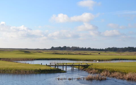 Svava - 2.3Km from the Sea: L'Eau, Ressources En Eau, Le Marais, Environnement Naturel, Vert, Paysage Naturel, Prairie, Plaine