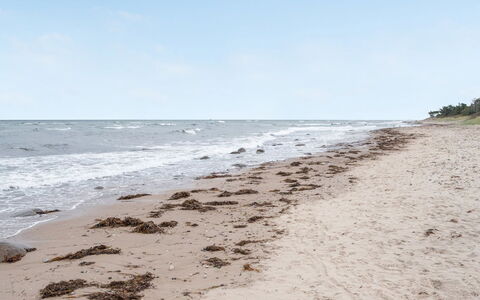 Pascal - 25M from the Sea: Maison, Domicile, Toit, Chalet, Arbuste, Siding, Porte, Jardin, Ferme