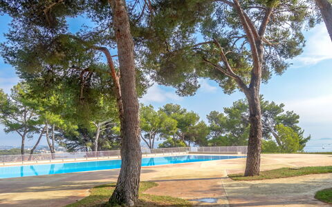 Bandol 230: Ciel, Plante, Ombre, Bleu Azur, Nuage, Arbre, Branche, Arecales, Paysage Naturel, Lumière Du Soleil
