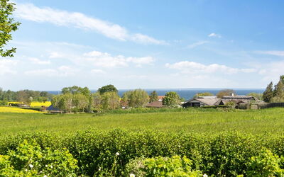 Alma - 400M from the Sea
