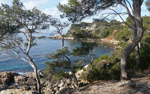 La Calanque D'Or: Plan D'Eau, Végétation, Arbre, Côte, Rive, L'Eau, Environnement Naturel, Réserve Naturelle, Mer, Région Sauvage