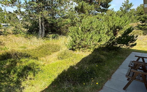 Absolon - 1.5Km from the Sea: Herbe, Végétation, Arbuste, Communauté Des Plantes, Lot Terre, Couverture De Sol, Jardin, Suppression Des Plantes Ligneuses, Pelouse