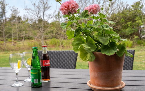 Birette - 1.5Km from the Sea: Pot De Fleur, Jardin, Plante D'Appartement, Herbe, Vase