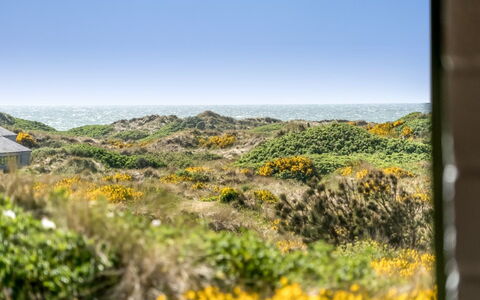 Ehawee - 350M from the Sea: Toit, Lot Terre, Chalet, Domicile, Zone Rurale, Cabanon, Siding, Batiments Jardin, Cabane En Rondins, Cabane