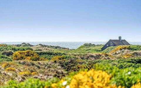 Ehawee - 350M from the Sea: Toit, Lot Terre, Chalet, Domicile, Zone Rurale, Cabanon, Siding, Batiments Jardin, Cabane En Rondins, Cabane