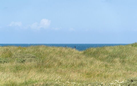 Dila - 150M from the Sea: Maison, Domicile, Porte, Toit, Chalet, Biens, Jardin, Ombre, Siding, Cour