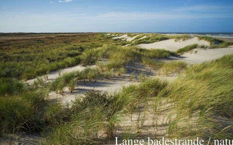 Elle - 50M from the Sea: Toit, Maison, Lot Terre, Domicile, Chalet, Biens, Batiments Jardin, Ombre, Cabane En Rondins, Aménagement Paysager
