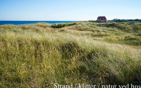 Elle - 50M from the Sea: Toit, Maison, Lot Terre, Domicile, Chalet, Biens, Batiments Jardin, Ombre, Cabane En Rondins, Aménagement Paysager