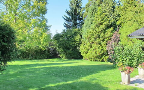 Claudette - 1Km from the Sea: Arbre, Vert, Herbe, Feuille, Arbuste, Jardin, Pelouse, Lot Terre, Couverture De Sol