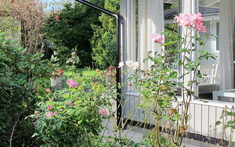 Claudette - 1Km from the Sea: Fleur, Arbuste, Rose, Jardin, Pétale, Communauté Des Plantes, Roses Jardin, Printemps, Plante À Fleurs