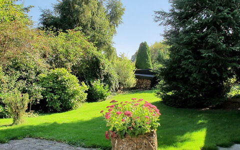 Claudette - 1Km from the Sea: Vert, Feuille, Herbe, Jardin, Végétation, Arbuste, Paysage, Communauté Des Plantes, Pelouse