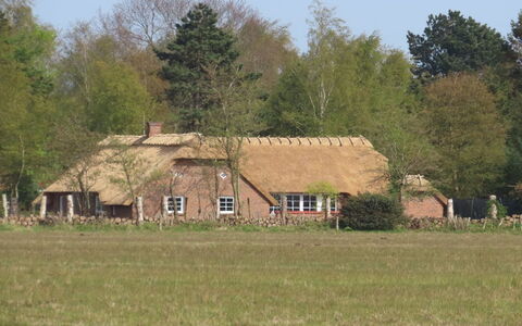 Taralyn - 1.3Km from the Sea: Zone Résidentielle, Domicile, Biens, Ombre, Béton, Allée, Aménagement Paysager, Villa, Clôture, Porche