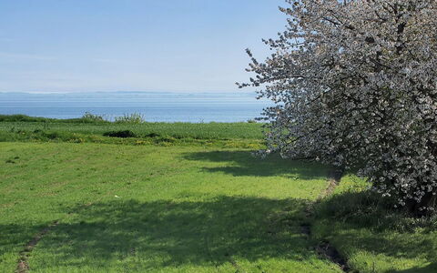 Ady - 150M from the Sea: Toit, Maison, Lot Terre, Domicile, Chalet, Biens, Batiments Jardin, Ombre, Cabane En Rondins, Aménagement Paysager