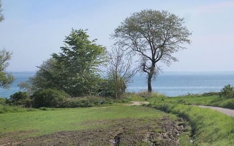 Ady - 150M from the Sea: Toit, Maison, Lot Terre, Domicile, Chalet, Biens, Batiments Jardin, Ombre, Cabane En Rondins, Aménagement Paysager
