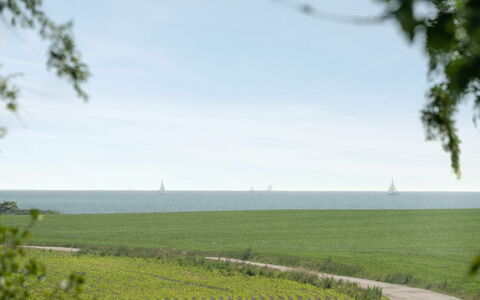 Ilja - 400M from the Sea: Bleu, Jour, Herbe, Horizon, Paysage Naturel, Écorégion, Plaine, Lot Terre, Nuage