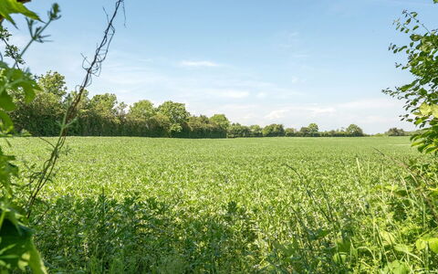Ilja - 400M from the Sea: Vert, Agriculture, Champ, Prairie, Été, Plaine, Lot Terre, Plantation, Zone Rurale