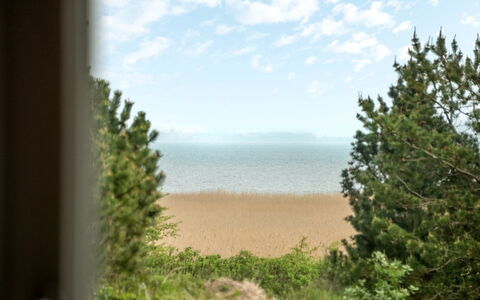 Solvey - 2Km from the Sea: Zone Résidentielle, Arbuste, Maison, Domicile, Jardin, Biens, Ombre, Aménagement Paysager, Pelouse