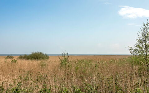 Solvey - 2Km from the Sea: Ciel, Bleu, Jour, Environnement Naturel, Herbe, Prairie, Végétation, Écorégion, Horizon, Plaine
