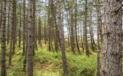 Solvey - 2Km from the Sea